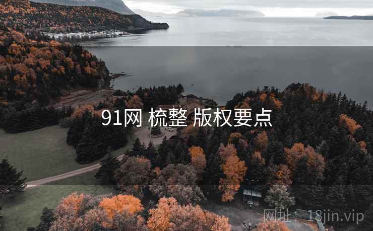 91网 梳整 版权要点