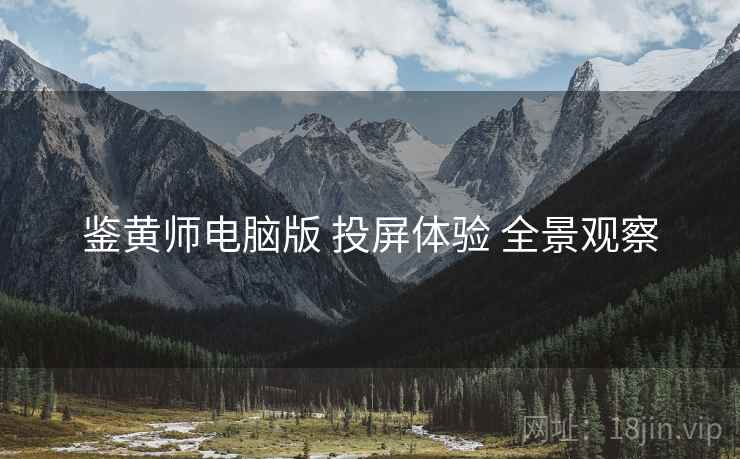 鉴黄师电脑版 投屏体验 全景观察