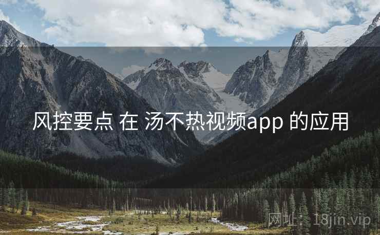 风控要点 在 汤不热视频app 的应用