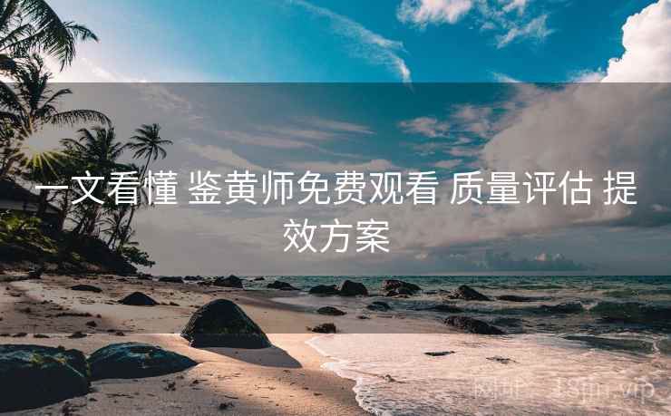 一文看懂 鉴黄师免费观看 质量评估 提效方案