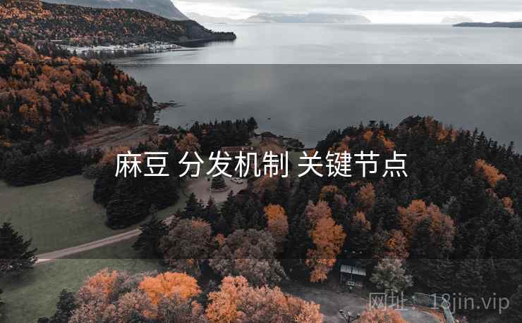 麻豆 分发机制 关键节点 麻豆 分发机制 关键节点