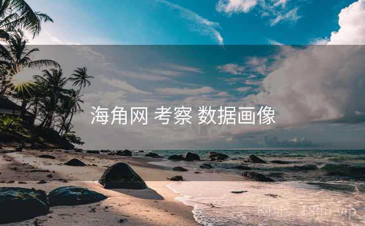 海角网 考察 数据画像 海角网 考察 数据画像