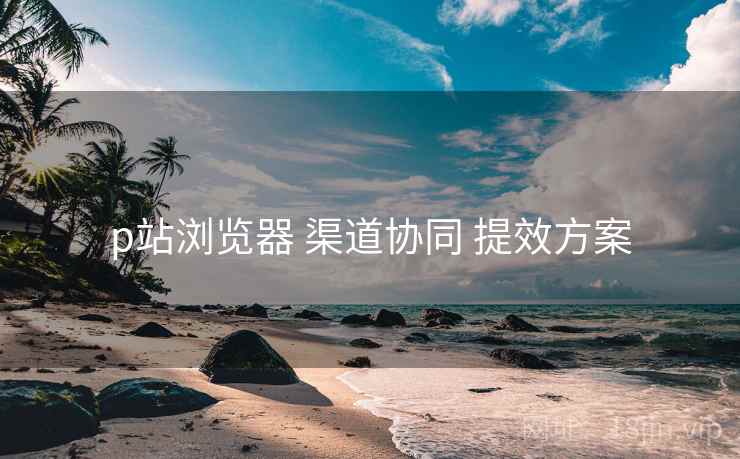 p站浏览器 渠道协同 提效方案